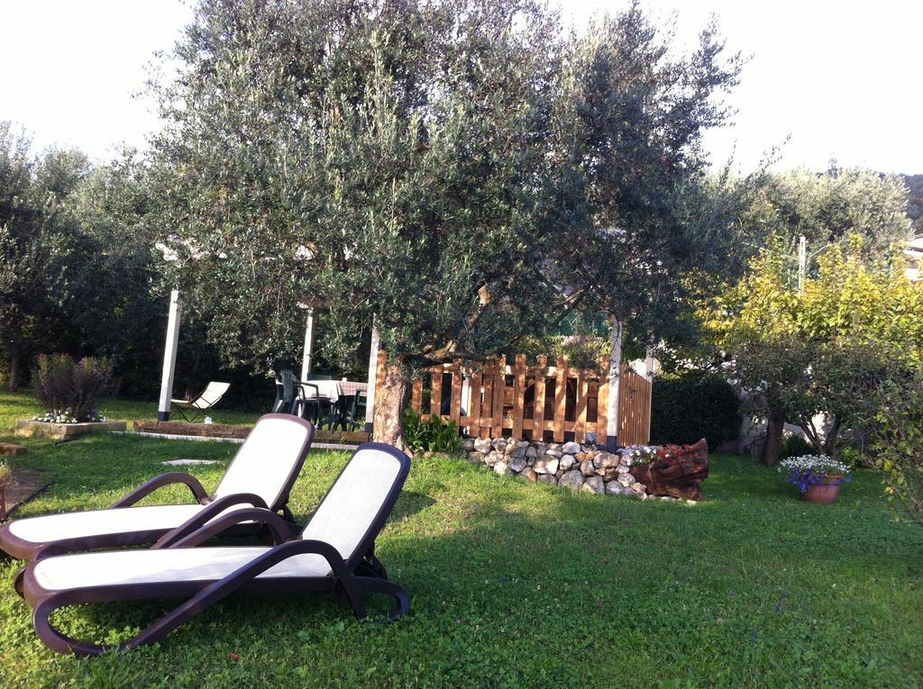 Agriturismo Casa Rosa Верона Екстериор снимка