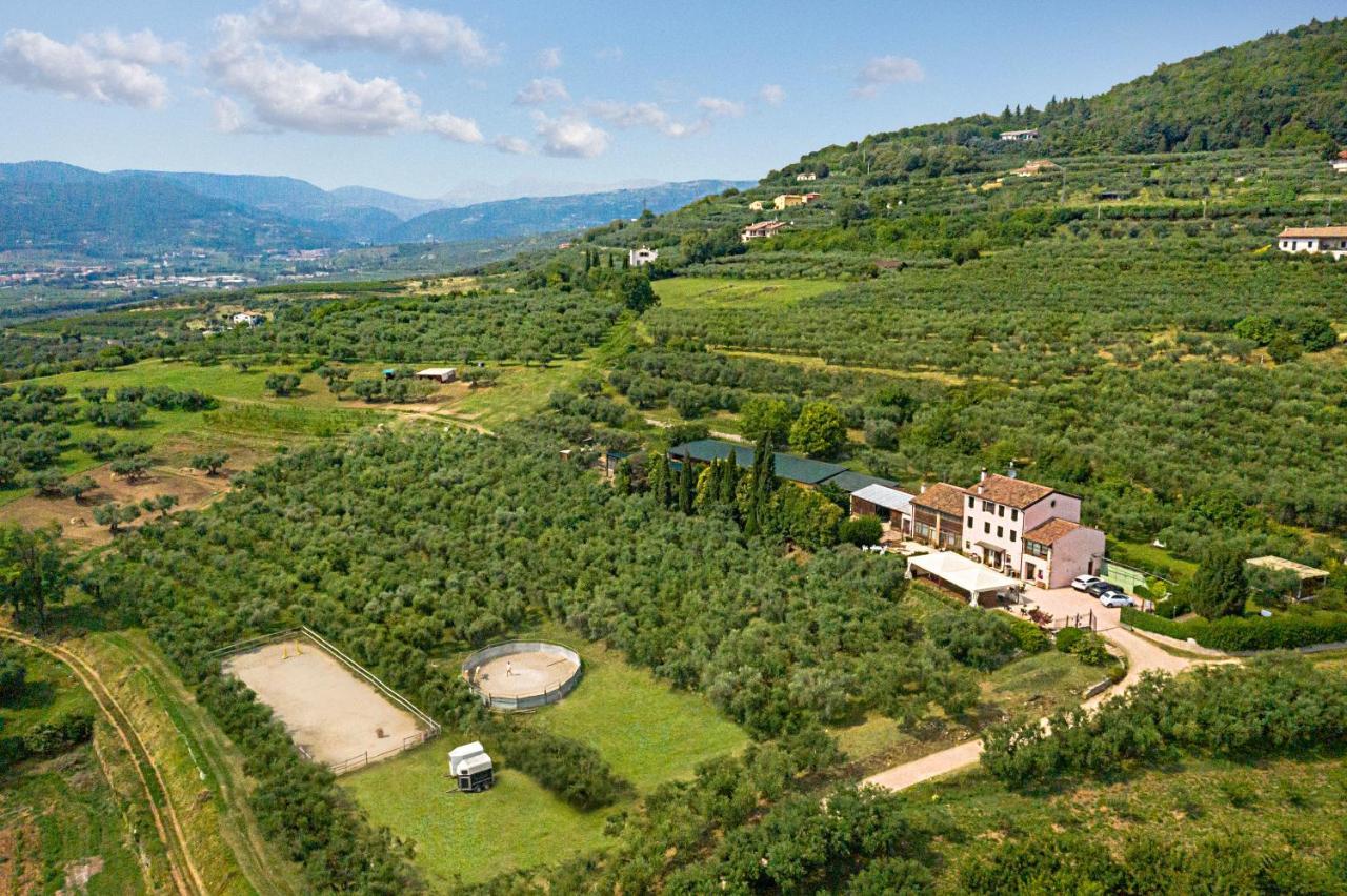 Agriturismo Casa Rosa Верона Екстериор снимка