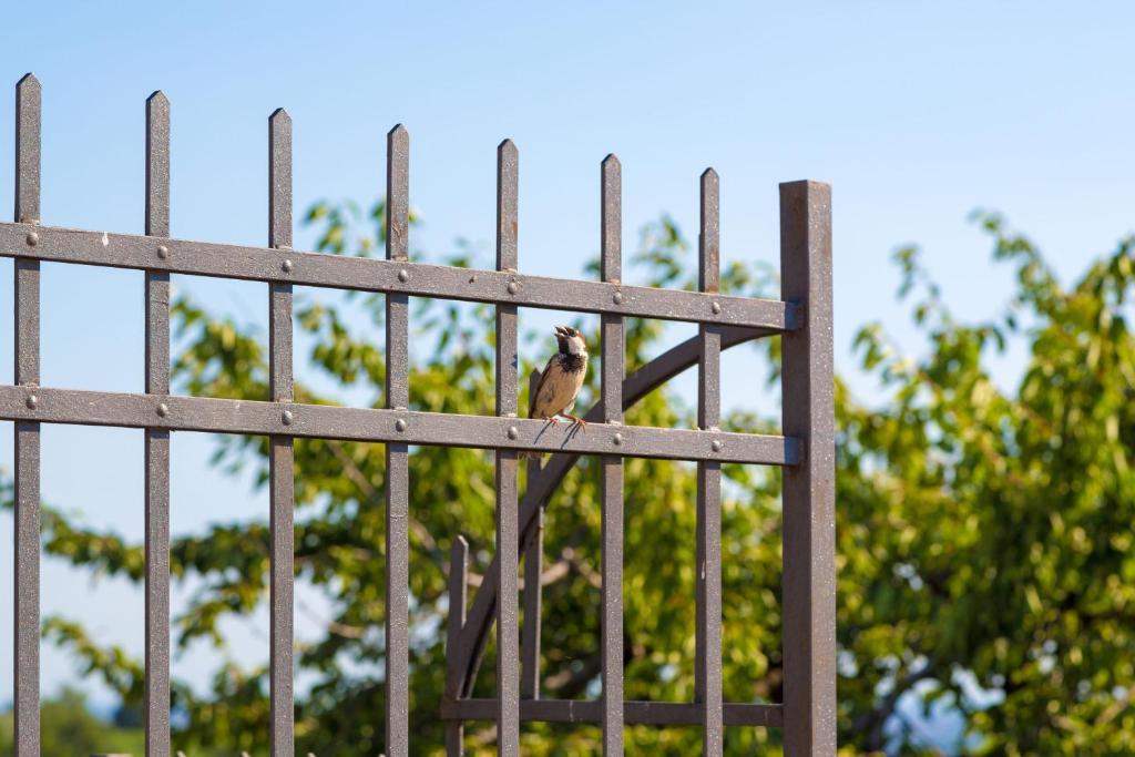 Agriturismo Casa Rosa Верона Екстериор снимка
