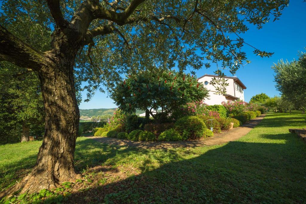 Agriturismo Casa Rosa Верона Екстериор снимка
